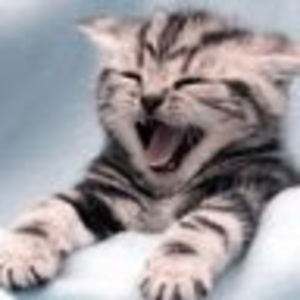 Meet your Posher, Gao